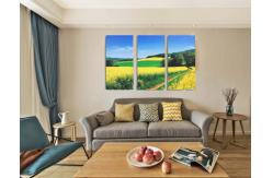 China Home Art Printed Acoustic Panel Soundproof Board Wall Decoration Painting supplier