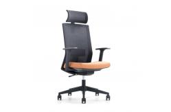 China Black Back Comfortable Mesh Office Chair With Adjustable Movable Headrest supplier