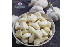China 2.2KW Garlic Red Onion Peeling Machine Small Garlic Peeling Machine supplier