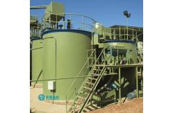 China Custom Leaching Tank Gold Ore Processing Equipment 30TPD-2500TPD supplier