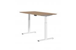 China Modern Electric Standing Desk Wood Height Adjustable Standing Desk supplier