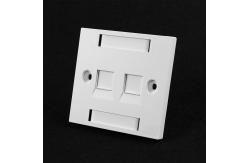 China 2 Port Telephone / Workstation Ethernet Faceplate supplier