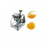 380V 50Hz Pineapple Production Line Pineapple Juice Processing Machine for sale