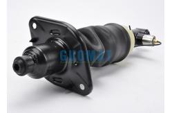 China 4Z7616051A 4Z7616052A Rear Air Suspension Spring For Audi A6 C5 Replacement Kit supplier