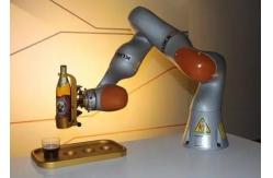 China Kuka Iiwa LBR 7 Axes Cooperative Robot Multi-joint Automation Device supplier
