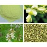 100% Pure Sophora Japonica L Extract Yellow Rutin Powder For Skin Aging for sale