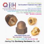 QBH M4-M24 Brass Copper Hex Protection Domed Cover Cap Acorn Nut Car Auto Parts for sale