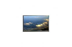 China M215HJJ-L01 21.5 inch LCD Display Panel 1920*1080 LCD Screen Module supplier