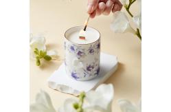 China Customized Ceramic Wax Melt Burners in Various Shapes Sample Charge supplier