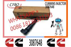 China Cum-mins M11 PT Fuel Injector 3087648 3406604 3071497 4914328 3079946 supplier