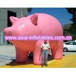 Inflatable helium pig balloon for sale
