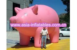 China Inflatable helium pig balloon supplier