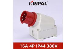 China Industrial Three Phase 16A 32A IP44 IEC Panel Mount Socket Waterproof supplier