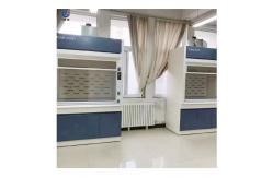 China Laboratory Steel Fume Hood Cupboard With Adjustable Speed Fan supplier