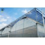 Custom Plastic Multi Span Greenhouse For Optimal Crop Growth And Efficiency