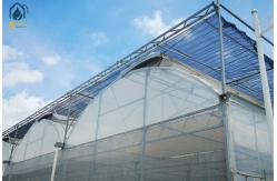 China Custom Plastic Multi Span Greenhouse For Optimal Crop Growth And Efficiency supplier