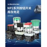Chint Push Button NP2 Industrial Electrical Controls Illuminated Flush Head 24v 230v 1NO1NC
