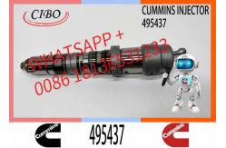 China Diesel Engine Part Excavator Fuel Injector 432678 495437 4077076 4902817 supplier