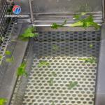 Single cylinder fruit and vegetable washing machine with slag separator Leaves Vegetables Onions Leafy vegetables Cabbage varieties Herbs Fruiting vegetables Wash Washer Washing Cleaning processing