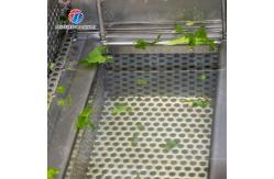 China Advanced Fruit And Vegetable Processing Line for Your Processing Needs supplier