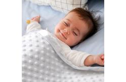 China Double Layer Modern Minky Weighted Blanket Custom Minky Blankets supplier