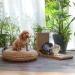 L Shape Right Angle Cat Scratching Cardboard With Ball Cat Scratching Toys