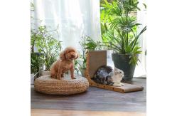 China L Shape Right Angle Cat Scratching Cardboard With Ball Cat Scratching Toys supplier