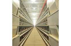 China HDG Automatic Poultry Feeding System 8.67m/Min 0.75kw Chicken Cage Feeder supplier