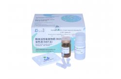 China Seminal Reactive Oxygen Species Staining Kit (NBT Method) supplier