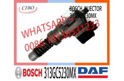 China Injector Pump 313GC5230M 313GC5230MX For DAF XF95 95XF 480 CF75/85 supplier