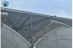 China Transparent Multi Span Plastic Greenhouse For Maximum Crop Yield supplier