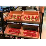 Lightweight LCD Digital Signage Touchscreen Built With Camera Printer for sale