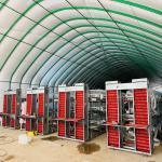 Full Automatic Layer Battery Cage H Type 5 Layers / Cell for sale