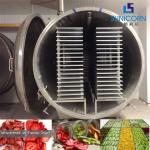 Easy Cleaning Freeze Dry Vacuum Chamber High Performance CE Certificated for sale