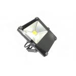 RGB 30W Spot Light AC100-277V Floodlight Fixtures for Park and Garden