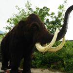 Full Size Realistic Woolly Mammoth Waterproof for Amusement Park for sale
