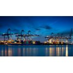 DDU DDP EXW Sea Freight Shipping Professional Ocean Freight Canada for sale