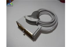 China Sequoia S2000 S3000 6C1 HD Ultrasound Transducer supplier