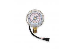 China Autogas Conversion Kit Car CNG Pressure Gauges Manometer 0-200 Bar supplier