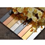 Stainless Steel U Shape Tile Trim Decorative Inlay Profile For Living Room for sale