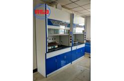 China Wall Mounted Automatic Shutoff Ducted Fume Hood With Regular Maintenance 400W Efficiency supplier