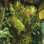 Rain Resistant Lifelike Anti Fading Vertical Greening For Garden for sale