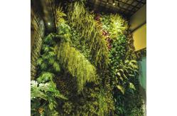 China Rain Resistant Lifelike Anti Fading Vertical Greening For Garden supplier