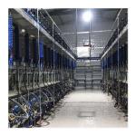 ACR Cow Milking Machine Automatic Milking System Dairy Farm
