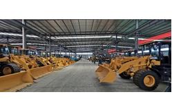 china Diesel Forklift exporter