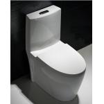 One Piece Round Toilet Dual Flush Single Piece Commode Flush Tank 12 Rough In for sale