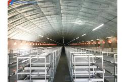 China Hot Dip Galvanized Steel Poultry Farm Cage Automatic Meat Broiler Poultry Cage supplier