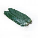 Vacuum Packed Zongzi Bamboo Leaves Width 5 - 11cm for sale