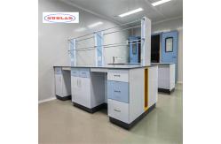 China Customizable Chemistry Lab Furniture with Modern Modular Structure supplier