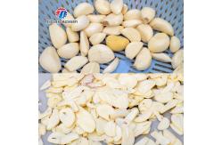 China Multifunction Onion Slicer Vegetable Cutting Machine 100KG/H Capacity supplier